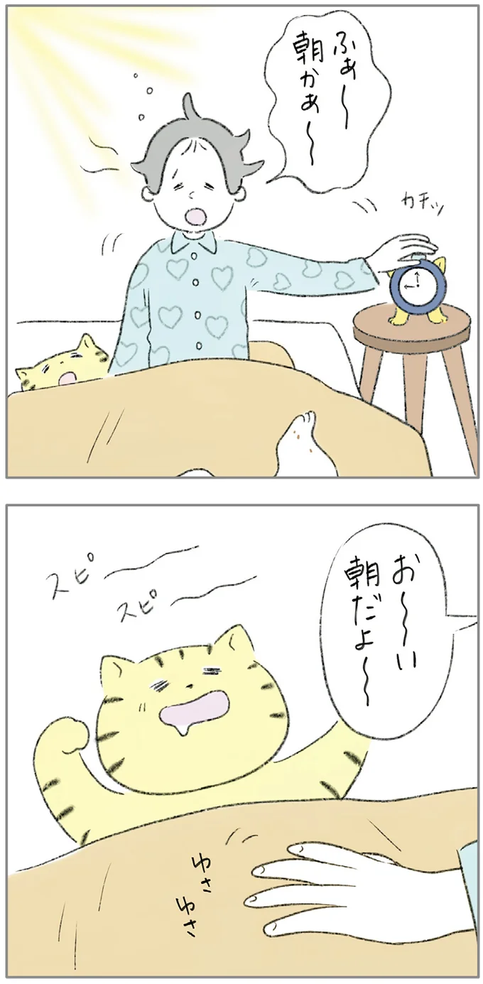 『ターとアグのしあわせ日和 元ノラ猫と元保護犬、ふたりは親友』 07-02.png