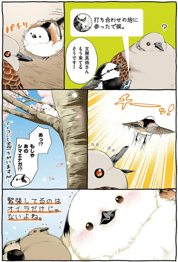 『キジバトくん日記1、２』 114.webp