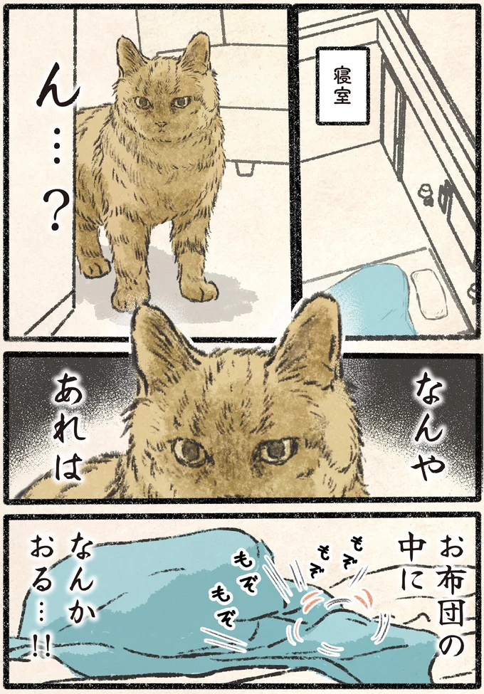 『今日もネコ様の圧が強い2』 72.webp