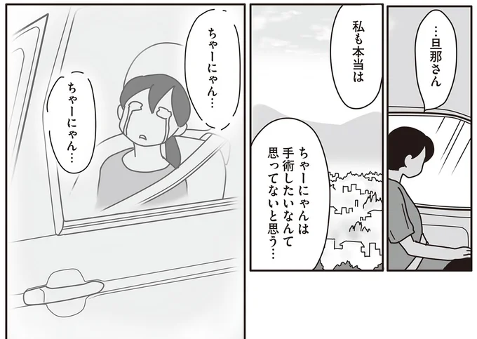 『世界一幸せな飼い主にしてくれた猫』 10-06.png