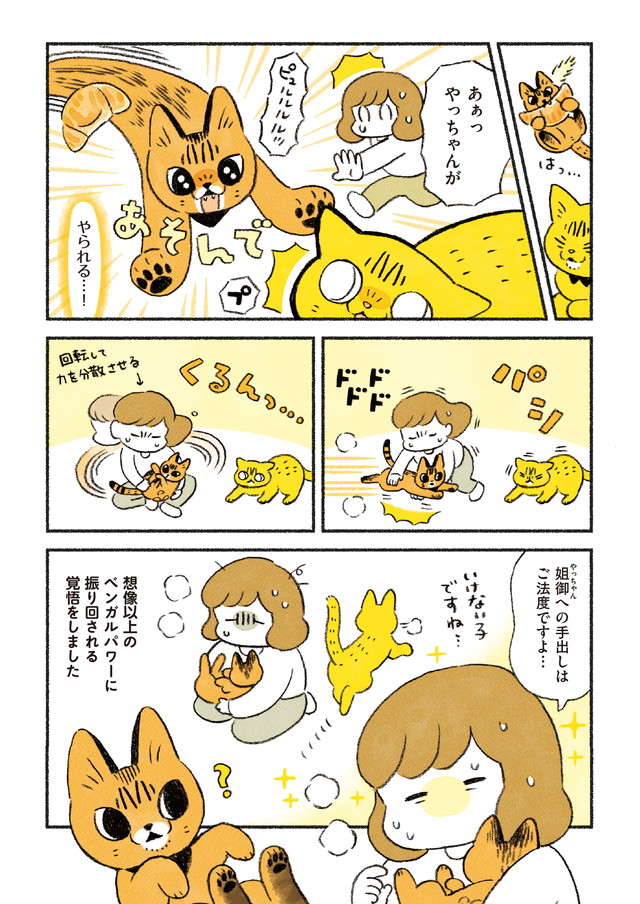ベンガル猫の体力は無限⁉ ももちゃんとの「初めて」は戸惑い楽しい！／茶トラのやっちゃんとちーちゃん3 4.jpg