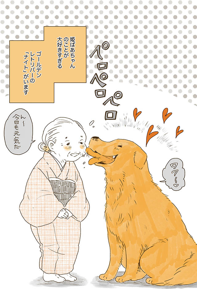 一緒にいるだけで幸せな一人と一匹 甘えん坊犬のナイトは今日も元気 姫ばあちゃんとナイト 2 毎日が発見ネット