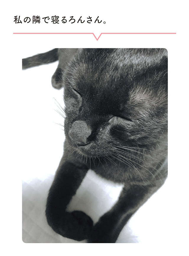 「猫の会いたかったよ」のサイン。うれしそうな顔されたらもう...！／黒猫ろんと暮らしたら1 24.jpg