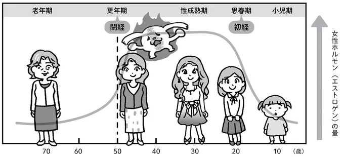 高齢になるにつれて減り、不調を招くことも...女性ホルモンの変化を知ろう／死んでも女性ホルモン減らさない! 05-01.png