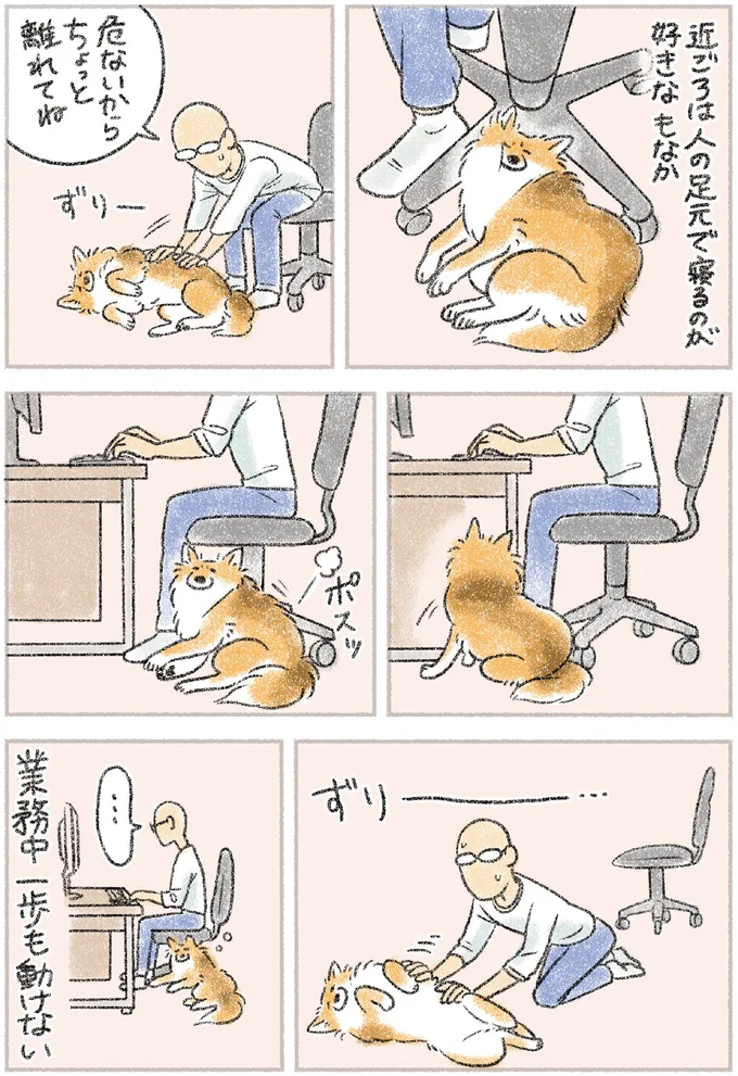 愛犬が決めた「定位置」。どかされてもどかされても...／犬を揉む 11.png