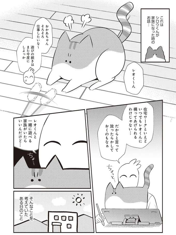 猫の多頭飼いの試練に直面！ 波乱しかなかった愛猫たちの初顔合わせ／レオとシロウのドタバタ猫日記 reo3_1.jpeg