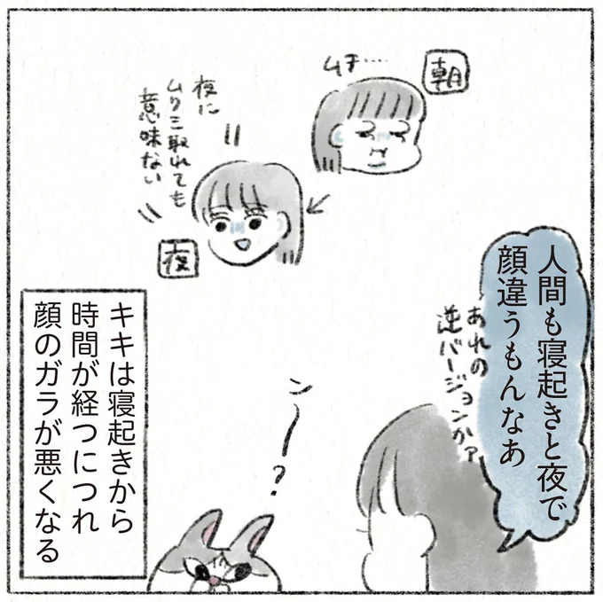 『うちの猫は今日も塩対応』 24.webp