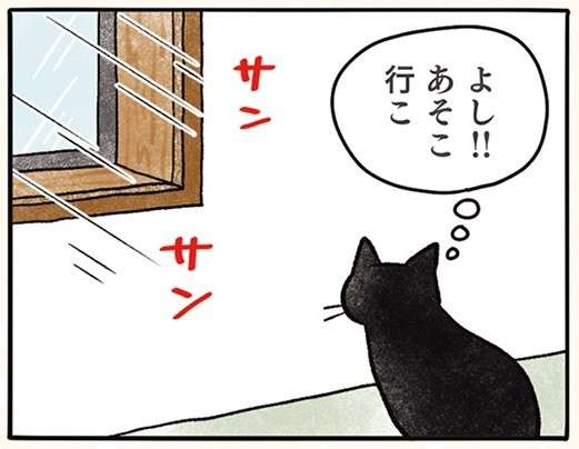 「悟られたらあかん」猫は失敗しても「こんな態度」／黒猫ナノとキジシロ猫きなこ kuroneko_nano2-1.jpg