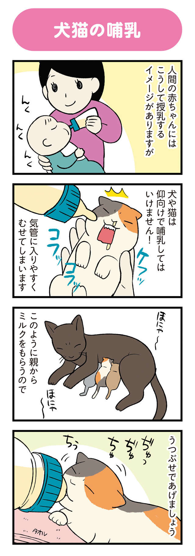 保護された子猫がミルクもご飯もあまり口にしない。哺乳瓶で授乳しようとしたら...!?／うちう猫と柴犬 13.jpg