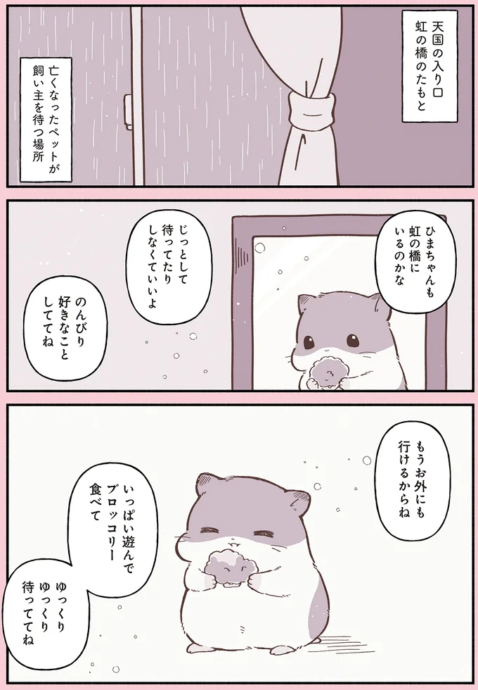 「うちに来て幸せだった？」旅立ったハムスターを思う女の子の涙／ひまちゃんと天国の面接 33.webp