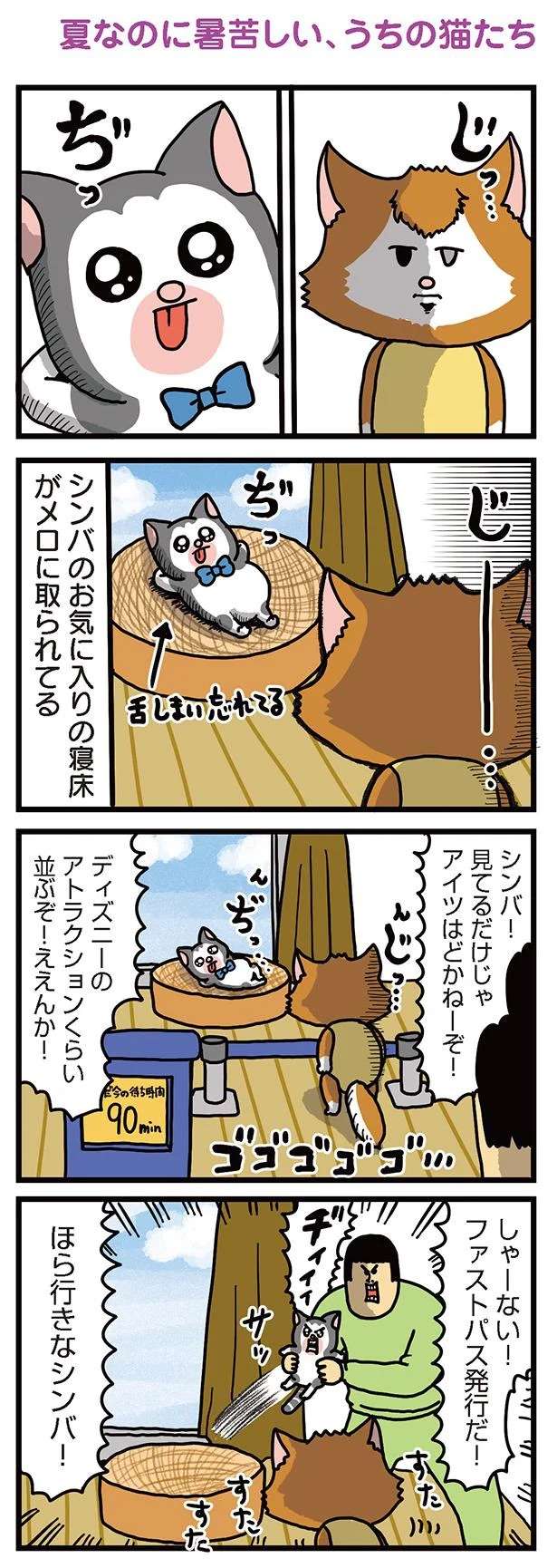 猫たちの寝床争奪戦⁉ ハラハラ展開からまさかの...うふふ／まめきちまめこニートの日常 3 mameko29_1.jpeg