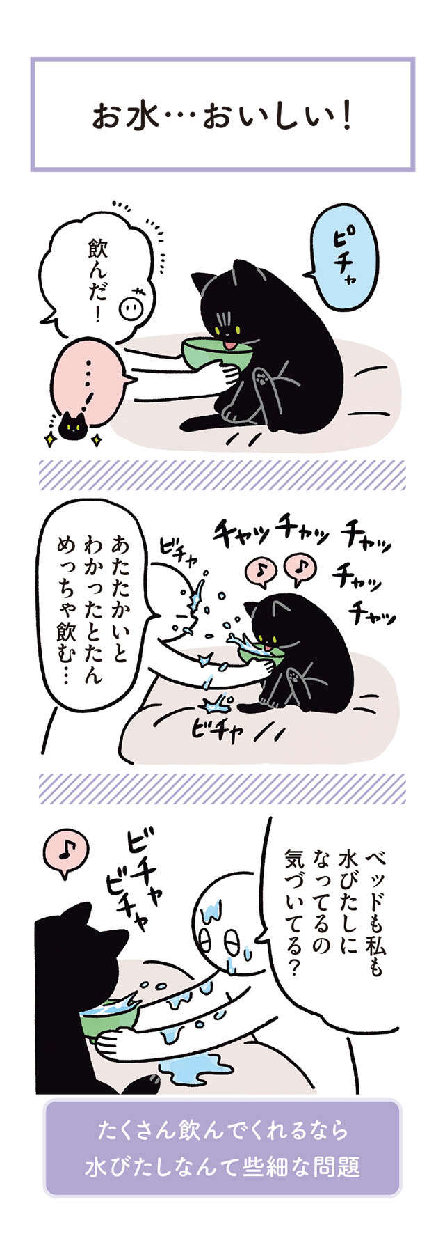 猫にとって「だいたいのことは飼い主のせい」...？ えっ、完全にそれは...！／黒猫ろんと暮らしたら 12.jpg