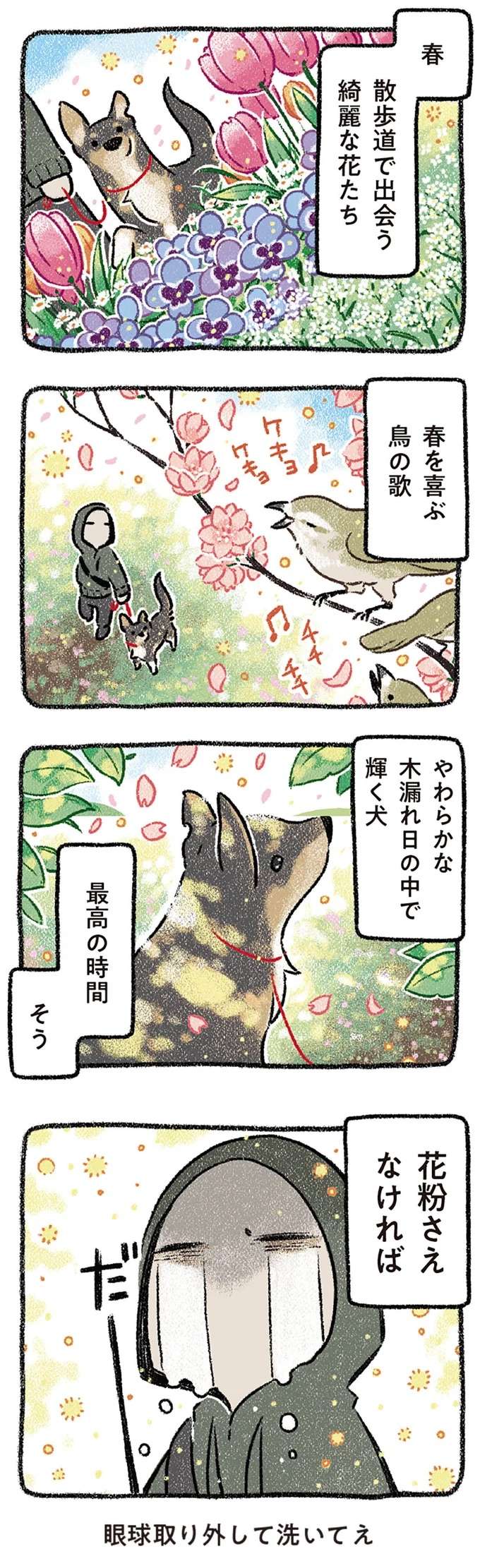 花と愛犬。飼い主は花より団子ではなく「団子より犬」、一方の愛犬は...／ドベとノラ2 dobetonora15_3.jpeg