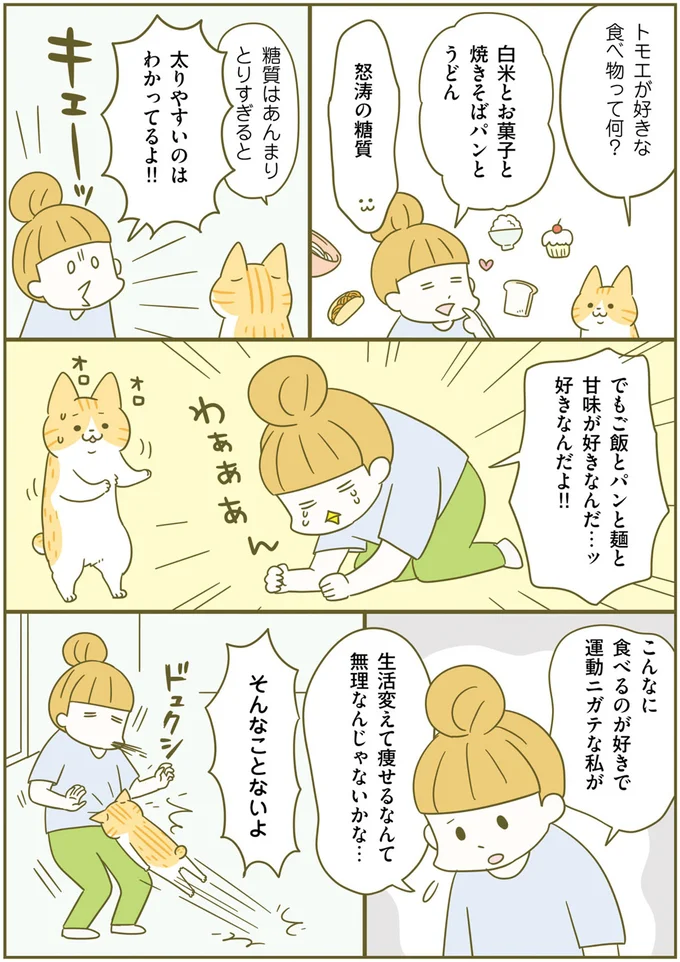なぜ太るか正しく知ってる？ 痩せるために糖質のことを理解しよう／ネコちゃんのゆるゆるダイエット塾 21.png