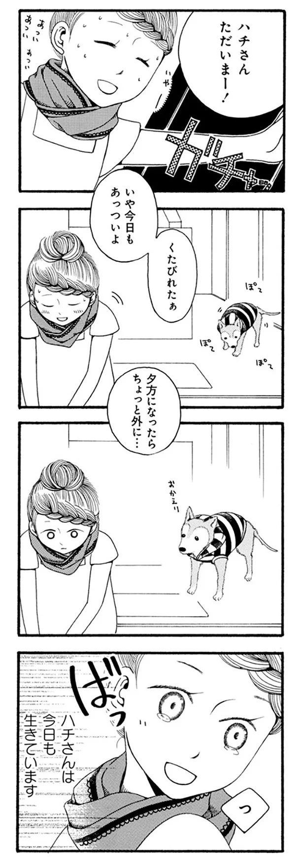 『96歳の柴犬ハチさんは、今日もお散歩しています。』 47.webp