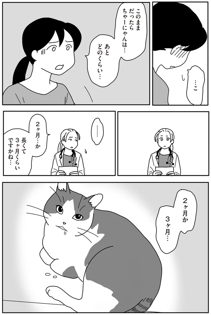 『世界一幸せな飼い主にしてくれた猫』 11-05.png