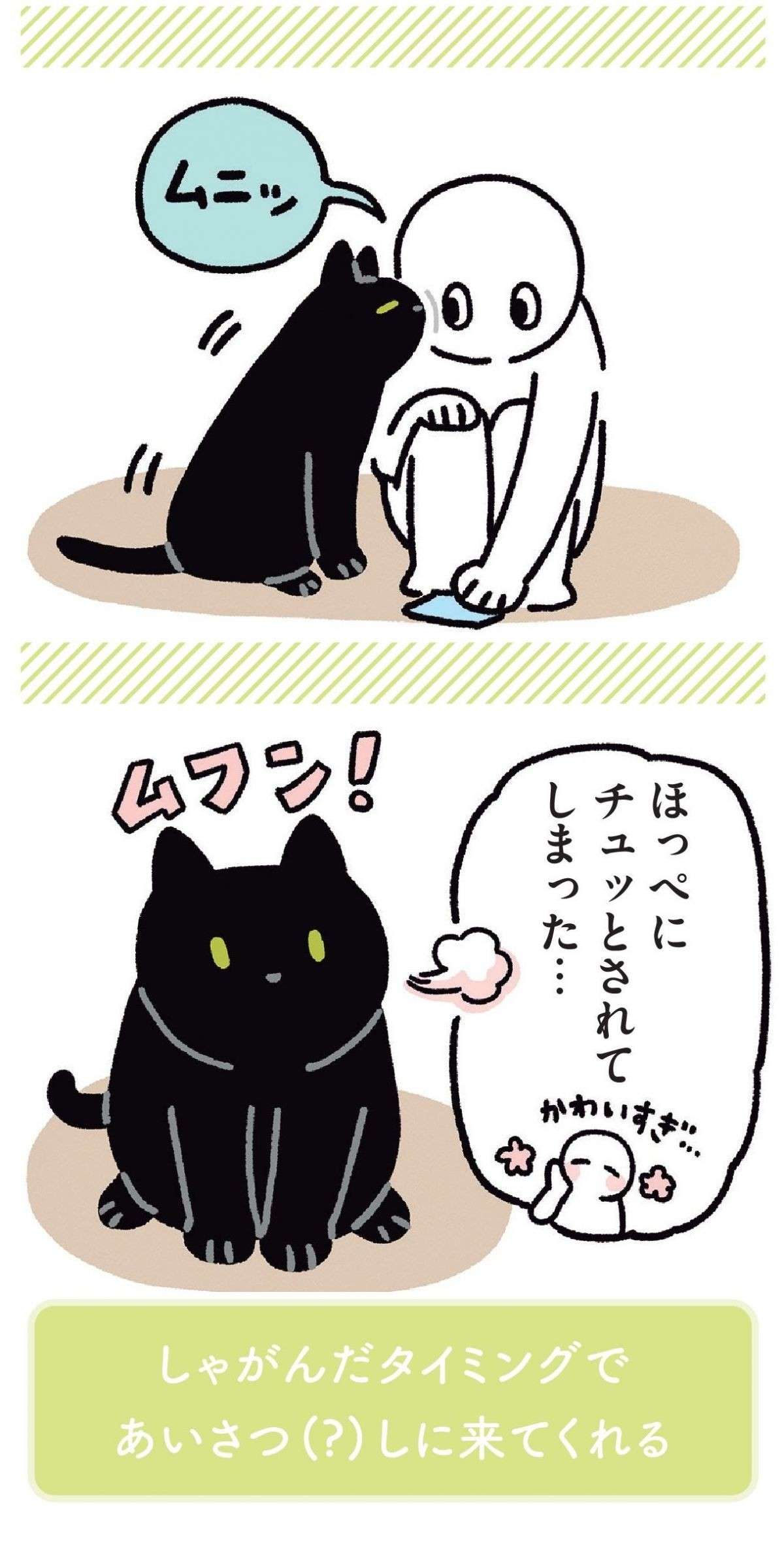 猫にこんなことされたら...‼　飼い主がしゃがむとほっぺに／黒猫ろんと暮らしたら 11.jpg