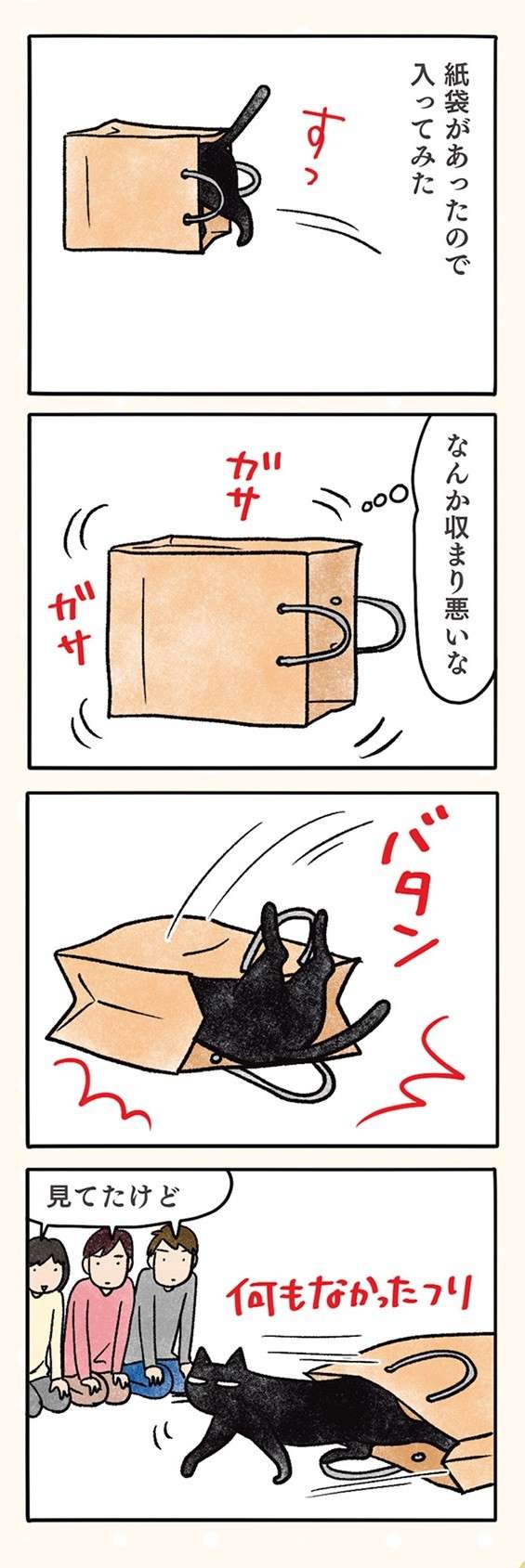 なーっ、なーっ、黒猫ナノは大きな音が嫌い。でも「一番うるさい」のは／黒猫ナノとキジシロ猫きなこ kuroneko_nano4-7.jpg