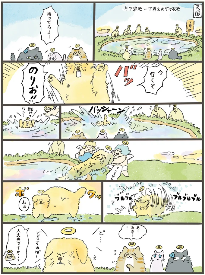 「泣き虫の兄妹には、オレがいないと」天国にいる犬は飼い主のピンチに.../天国での暮らしはどうですか 04-01.png