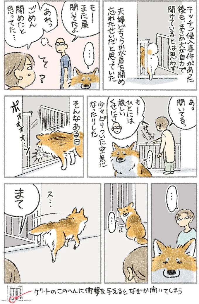 愛犬用のペットゲートを開けたのは誰？ 夫婦がギスギスする中、真犯人は？／犬を揉む 11.png