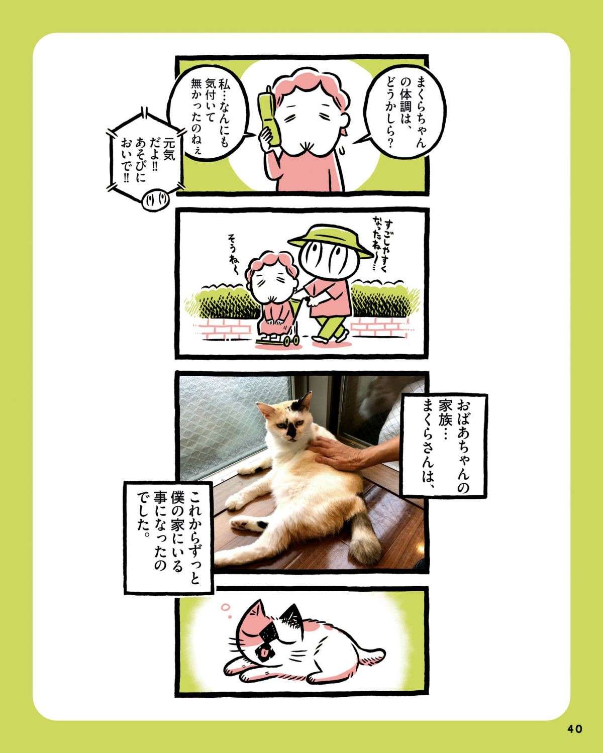 保護した猫の飼い主は、「肺がんステージ4」。悲しい事態を避けるための「答え」／ねこおばあさんぼく 3.jpg