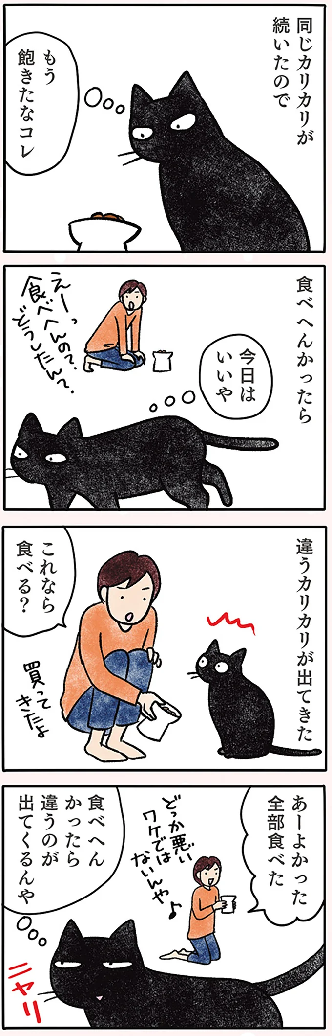 『黒猫ナノとキジシロ猫きなこ』 04-01.png