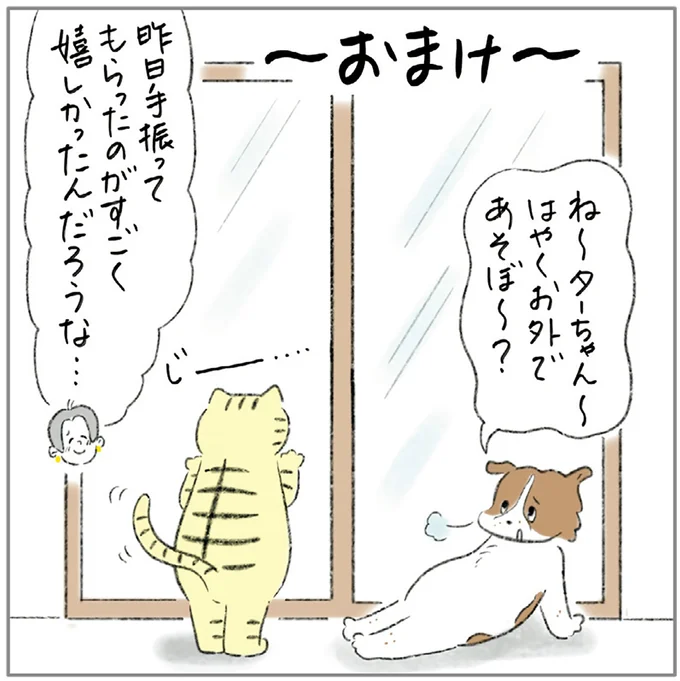 『ターとアグのしあわせ日和 元ノラ猫と元保護犬、ふたりは親友』 11-06.png