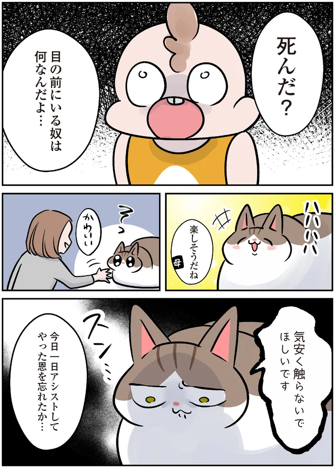 『マジレス幼児とモンペ猫 口達者な娘と過保護すぎる猫たちとの日常』 59.webp