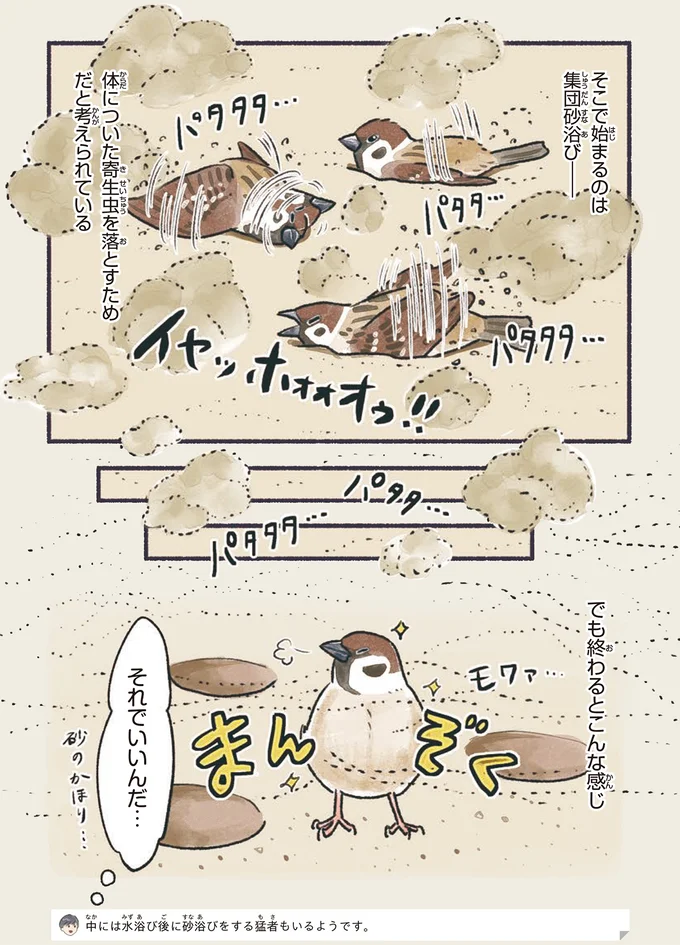 『意外と知らない鳥の生活 1〜2』 12.webp