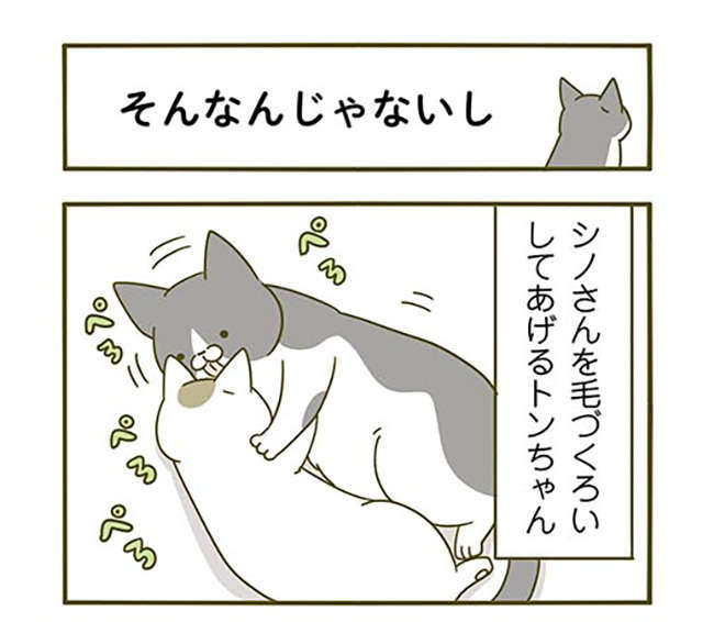 猫の激しい「構って」アピール。仕事の邪魔に「隙がない」／うちの猫がまた変なことしてる。2 1.jpg