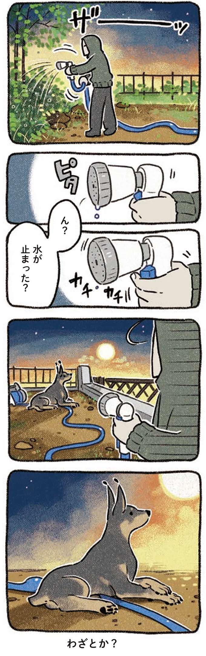 『ドベとノラ 3 犬と仲間が集う場所』 dobetonora4_2.jpeg