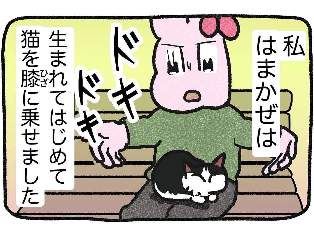 「すべては猫を飼うため！」猫への愛だけで転職、上京した漫画家。その「決意」がすごい【作者に聞く】 04.jpg