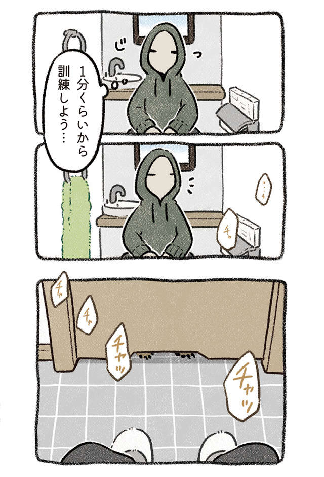 ようバレてないと思ったな」愛犬ドベの「マテ」練習をしてみたら／ドベ  