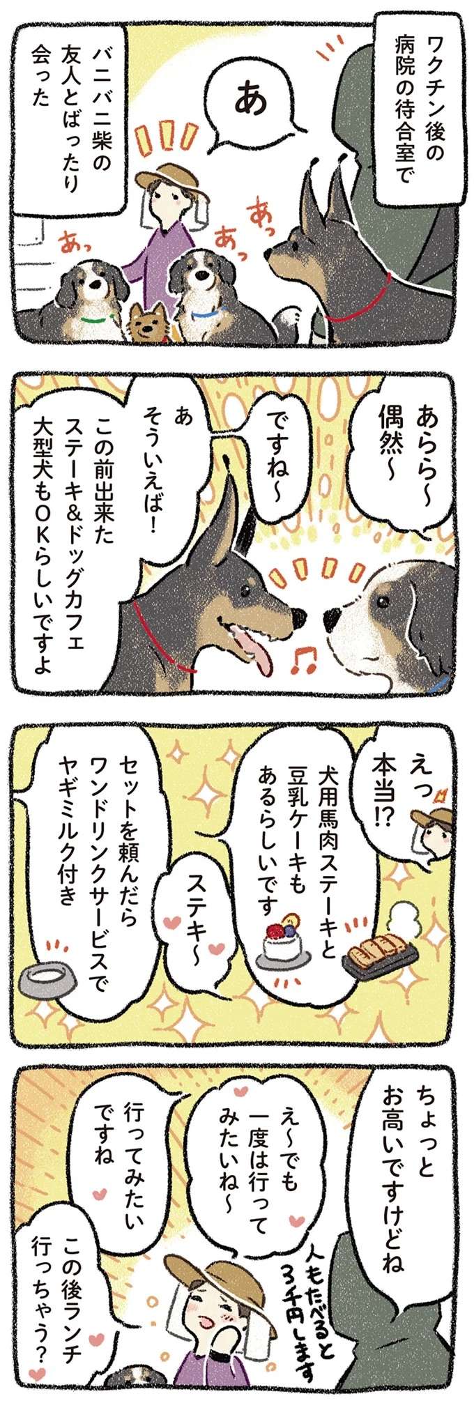 『ドベとノラ 犬がくれた優しい世界1～2』 dobetonora11_1.jpeg