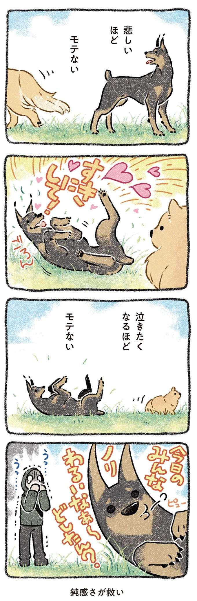 『ドベとノラ 犬がくれた優しい世界1～2』 dobetonora11_4.jpeg