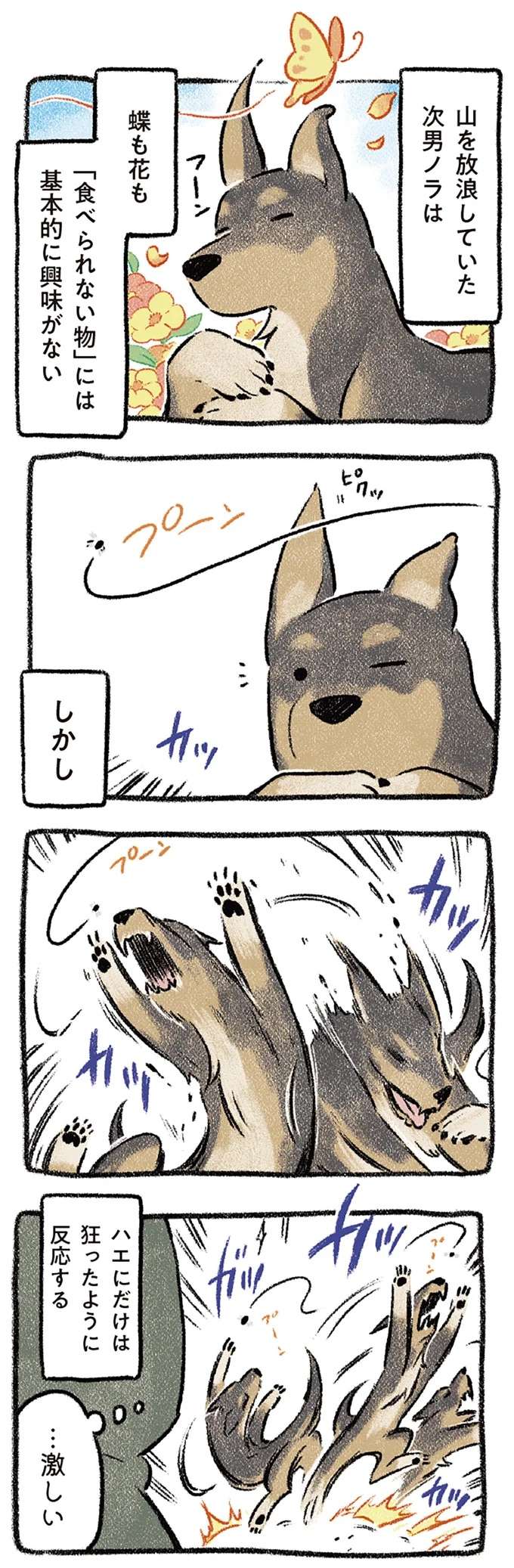 『ドベとノラ 犬がくれた優しい世界1～2』 dobetonora13_1.jpeg