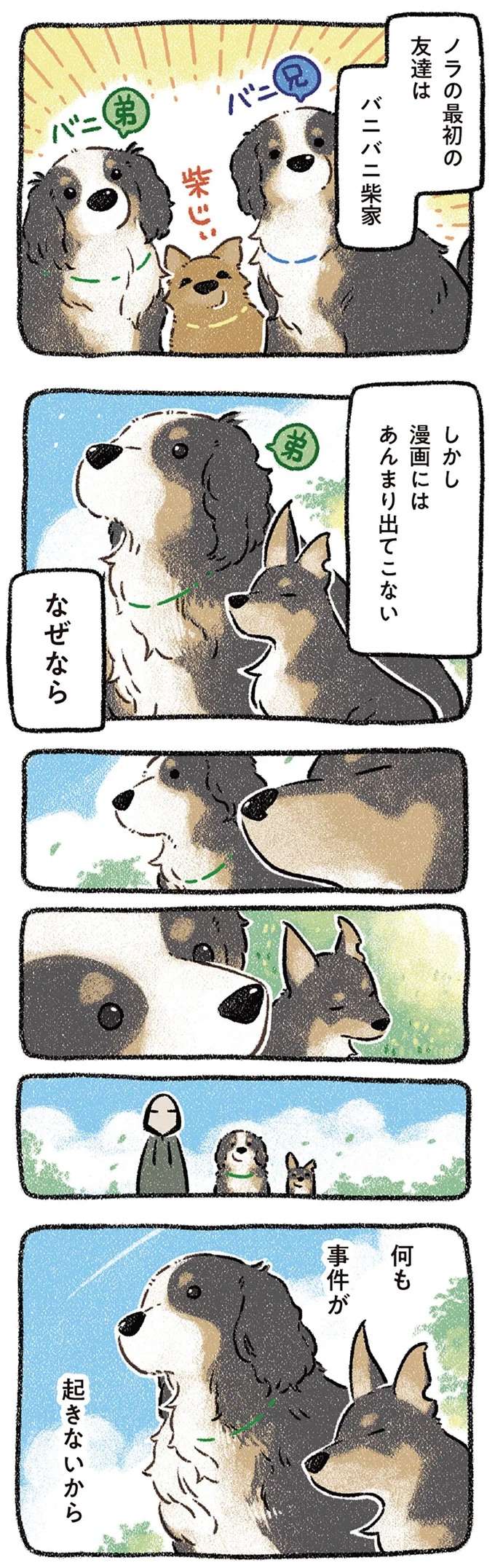 『ドベとノラ 犬がくれた優しい世界1～2』 dobetonora14_3.jpeg