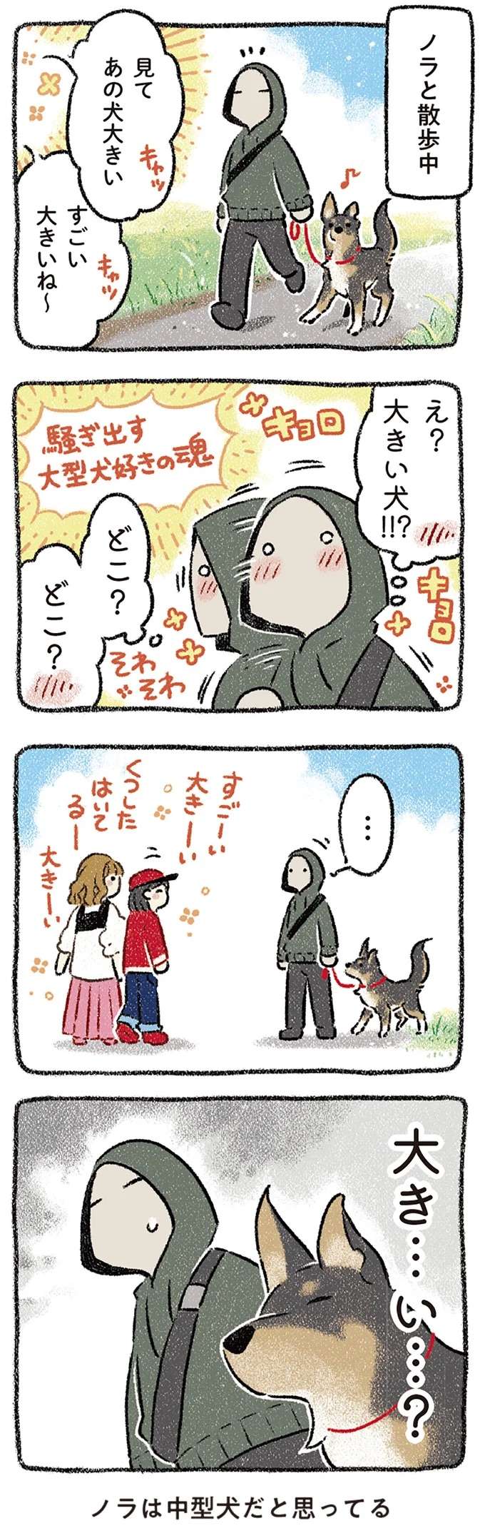 『ドベとノラ 犬がくれた優しい世界1～2』 dobetonora16_3.jpeg