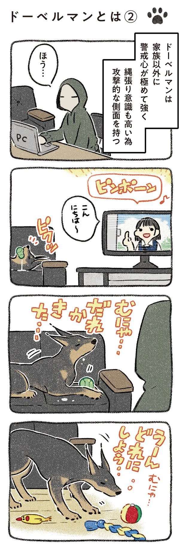 「家族以外に警戒心が強い犬種」。いえ、うちの子、誰にでもフレンドリーですが？／ドベとノラ dobetonora1_3.jpeg