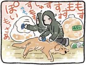 2時間かけて犬を「むしる」。ビフォー・アフターは？／ドベとノラ 2 犬