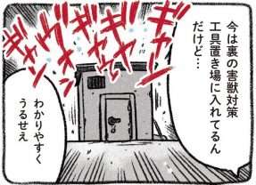 ガリガリに痩せていた放浪犬を保護することに。「あ、皮手袋いる？」／ドベとノラ 2 犬が結んだご縁