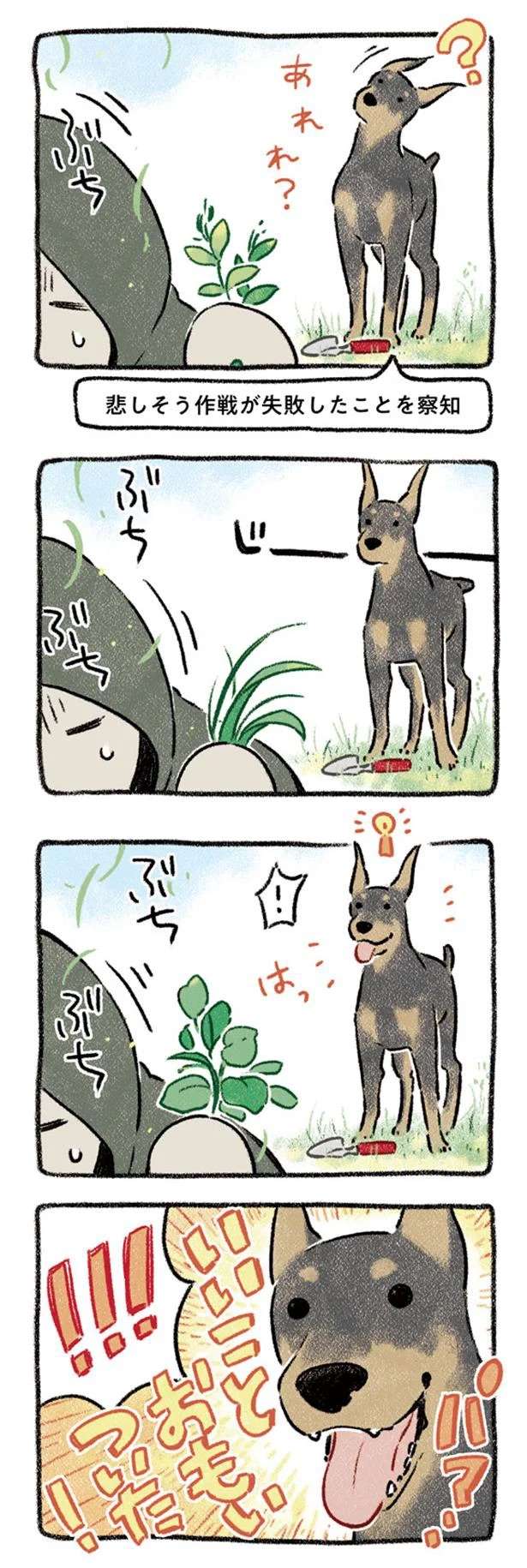 『ドベとノラ 犬がくれた優しい世界1～2』 dobetonora2_2.jpeg