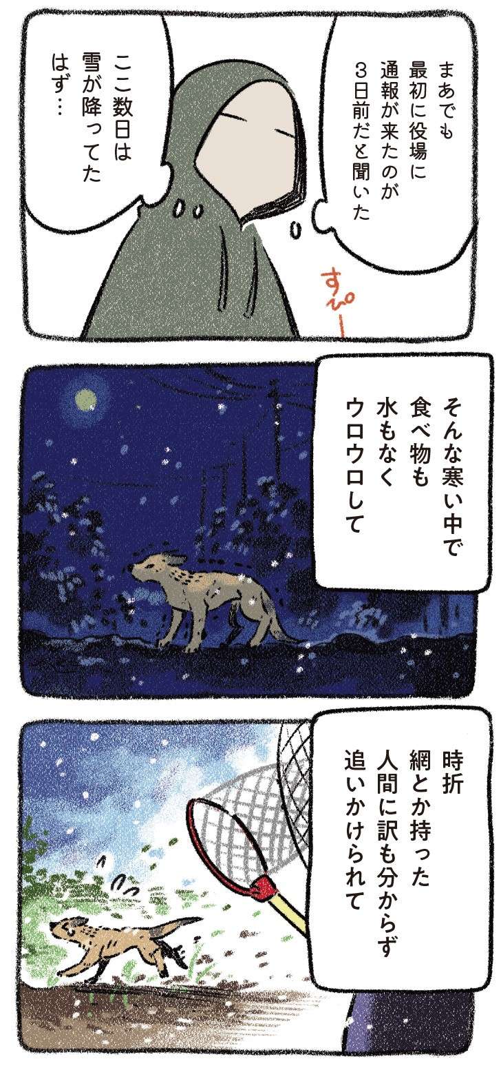 寒い中、飲まず食わずで放浪していた保護犬。暖かい家で迎えた初めての夜／ドベとノラ 2 犬が結んだご縁 dobetonora2_p68_2.jpg