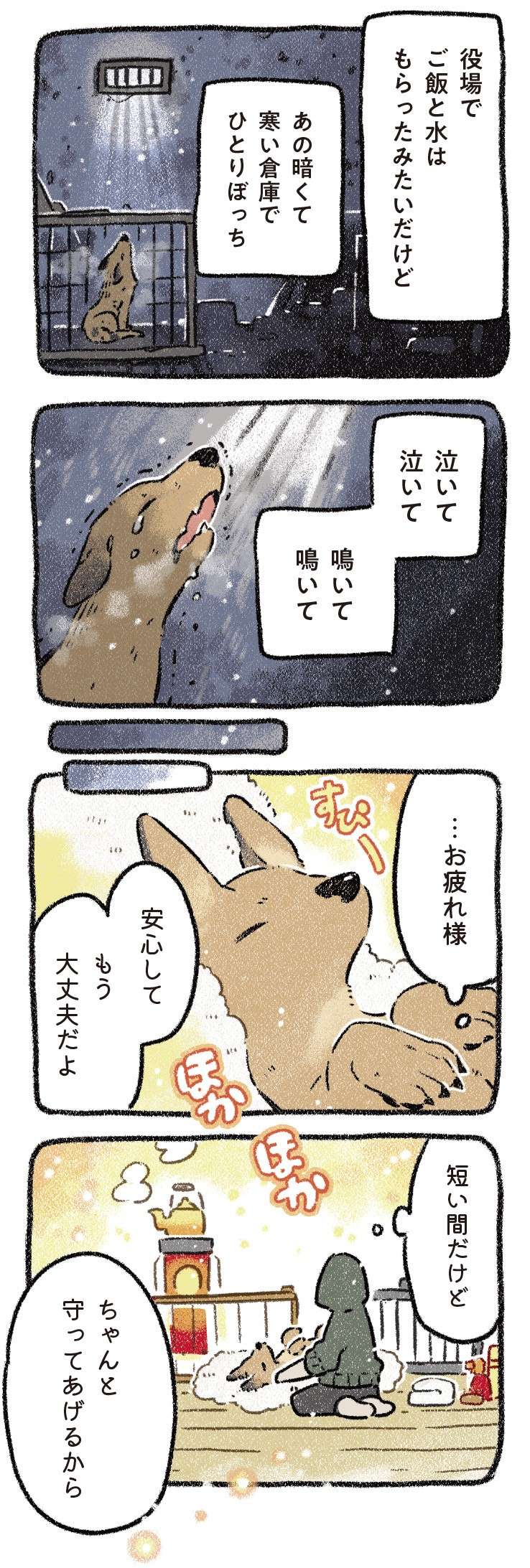 寒い中、飲まず食わずで放浪していた保護犬。暖かい家で迎えた初めての夜／ドベとノラ 2 犬が結んだご縁 dobetonora2_p68_3.jpg