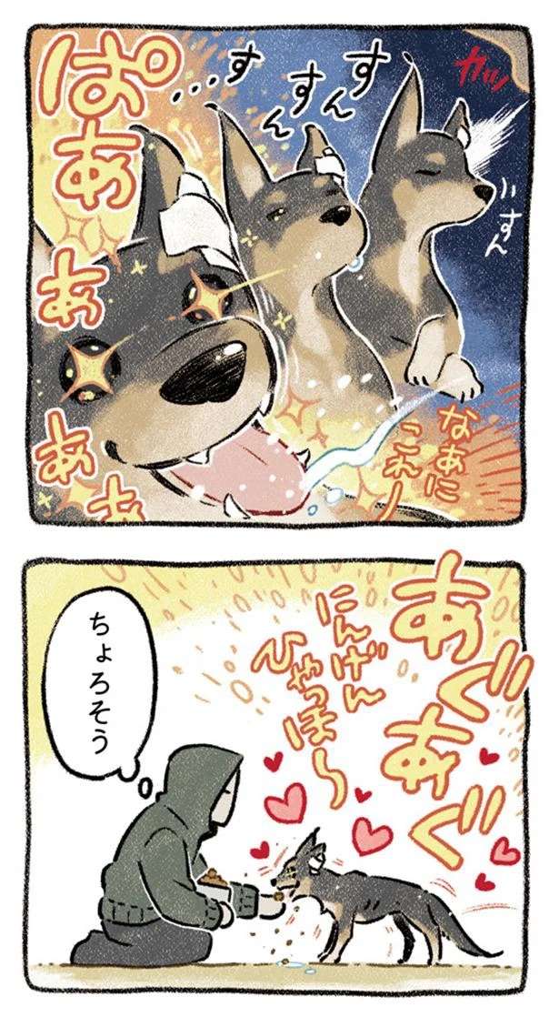 『ドベとノラ 犬がくれた優しい世界1～2』 dobetonora6_5.jpeg