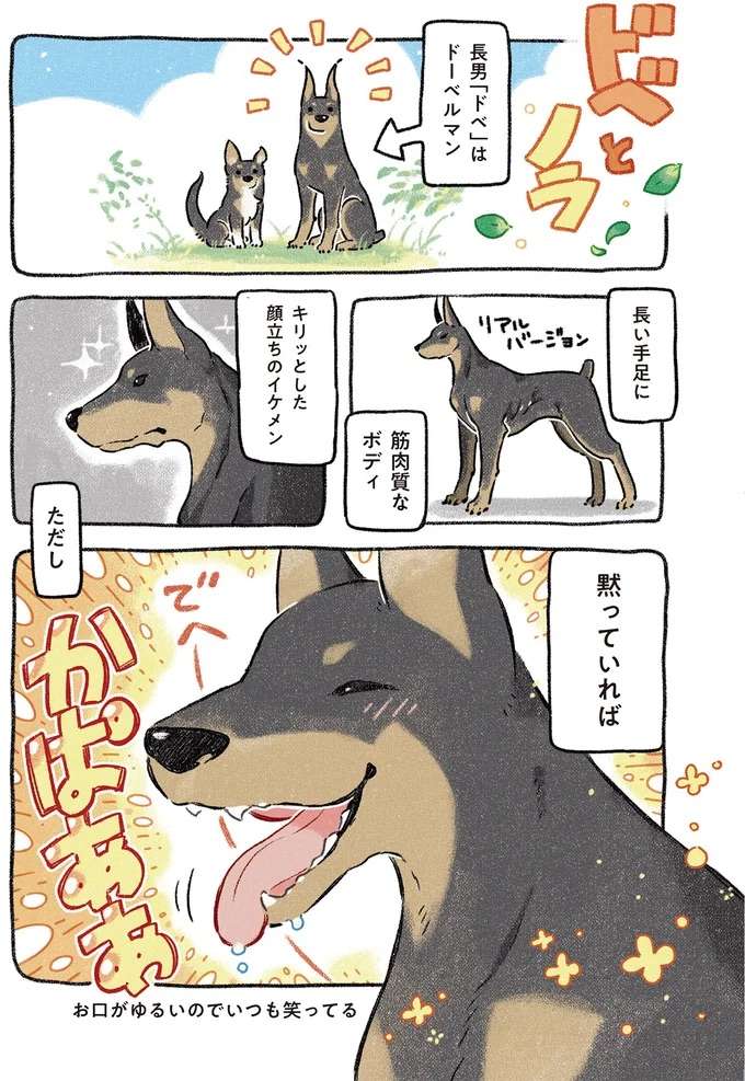 『ドベとノラ 犬がくれた優しい世界1～2』 dobetonora9_1.jpeg