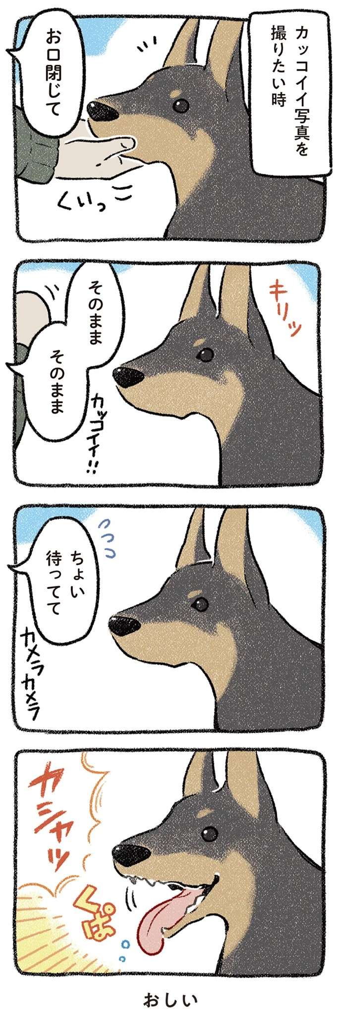 『ドベとノラ 犬がくれた優しい世界1～2』 dobetonora9_2.jpeg