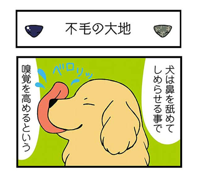 鼻がカッピカピな愛犬。飼い主が濡らそうとしたら「とんでもないこと」に!? ／ドヤ顔柴犬どんぐり donguri-i-018-1.jpg