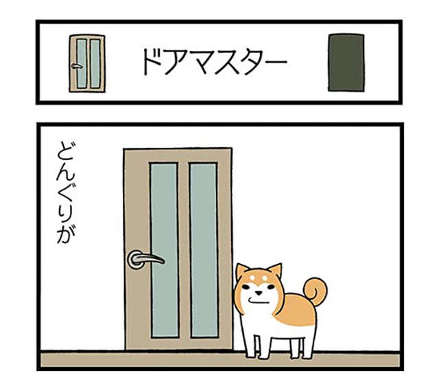 家では「あわわ～」と鳴く愛犬。動物病院で猫をかぶった結果、先生が「一言」／ドヤ顔柴犬どんぐり donguri-i-030-1.jpg