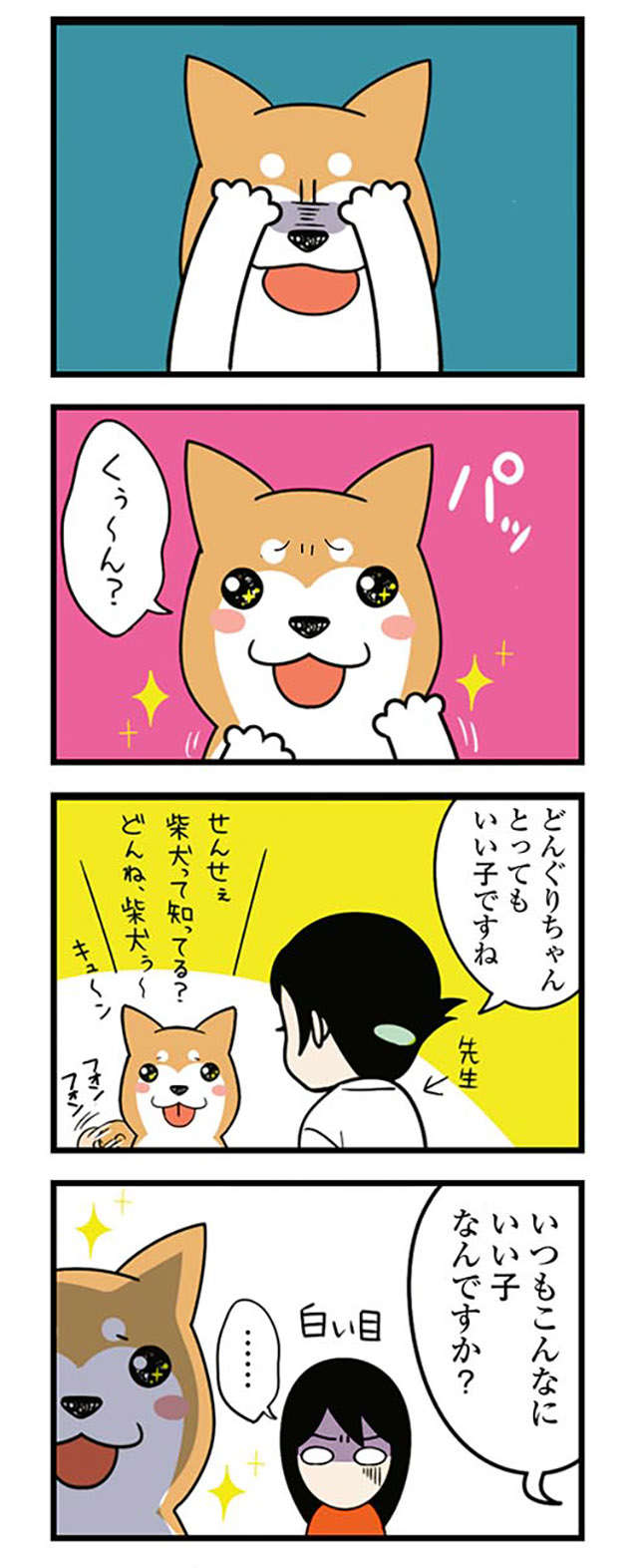 家では「あわわ～」と鳴く愛犬。動物病院で猫をかぶった結果、先生が「一言」／ドヤ顔柴犬どんぐり donguri-i-031-2.jpg